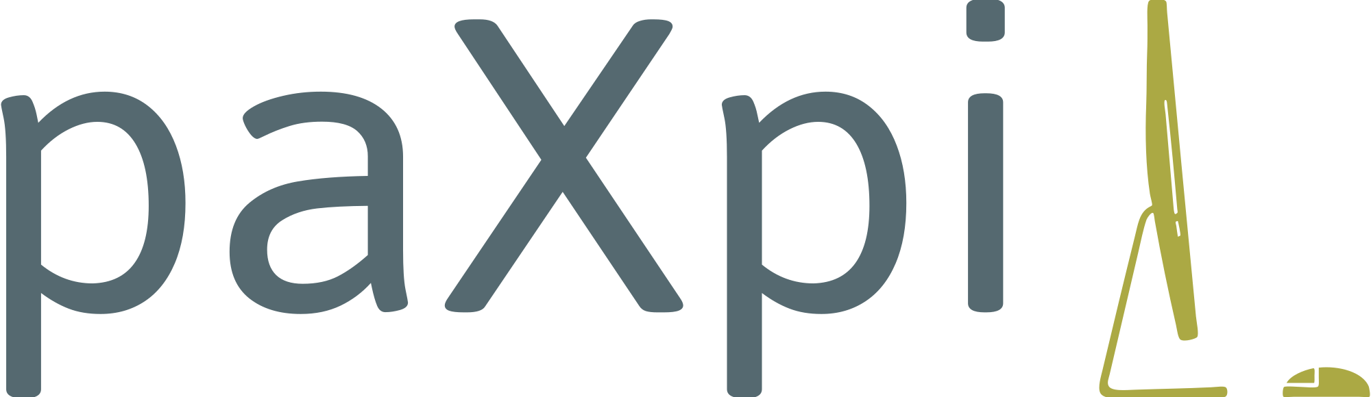 paxpi website logo